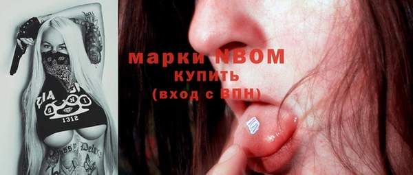 прущие грибы Аркадак
