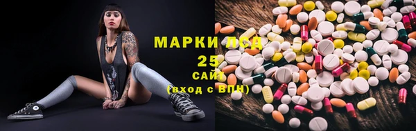 прущие грибы Аркадак