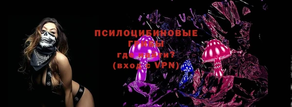 прущие грибы Аркадак