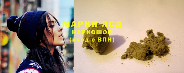 прущие грибы Аркадак