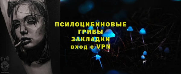 прущие грибы Аркадак