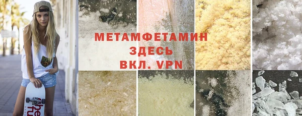 прущие грибы Аркадак
