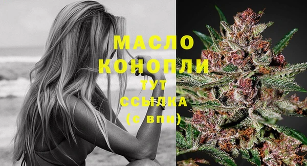 мяу мяу мука Арсеньев