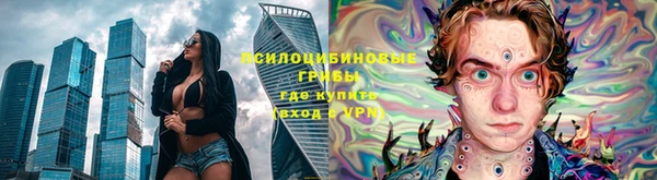 соль ск Армянск