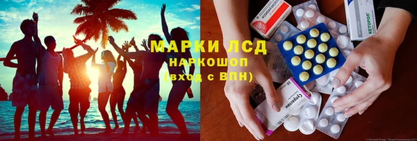 прущие грибы Аркадак