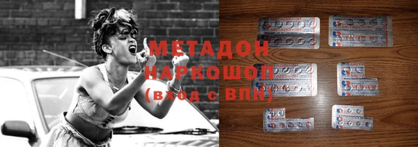 прущие грибы Аркадак